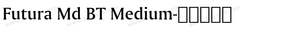 Futura Md BT Medium字体转换